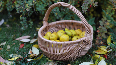 Wicker basket