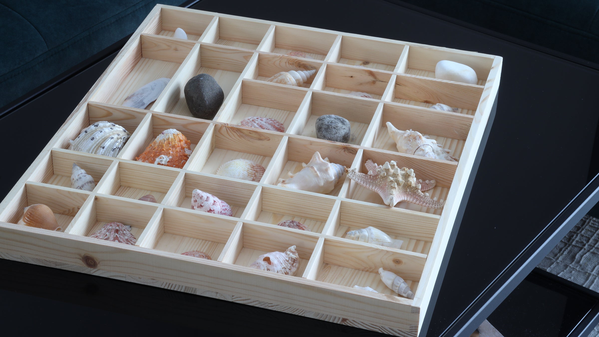 Sea shells and rocks collection in bright wood shadow organizer box