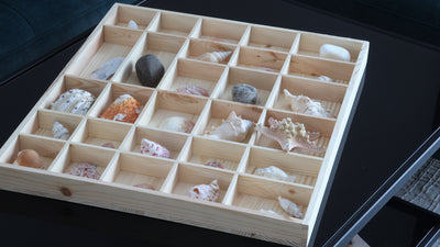 Sea shells and rocks collection in bright wood shadow organizer box