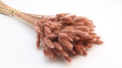 Lagurus Dried Pink Rose Bunch